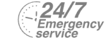 24/7 Emergency Service Pest Control in Barnehurst, DA7. Call Now! 020 8166 9746