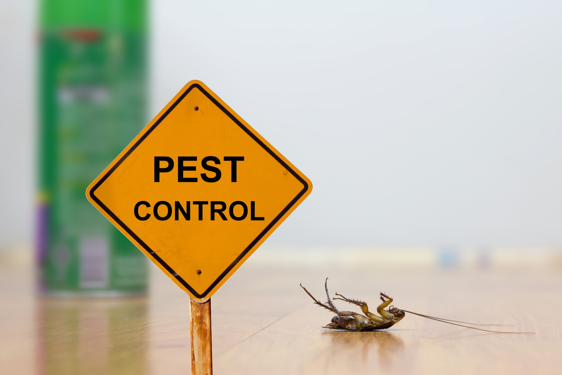 24 Hour Pest Control, Pest Control in Barnehurst, DA7. Call Now 020 8166 9746